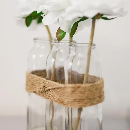 Du Macchione By Location-tourisme-corse Bastia (Corsica)