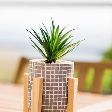 Villa Du Macchione By Location-tourisme-corse Bastiya