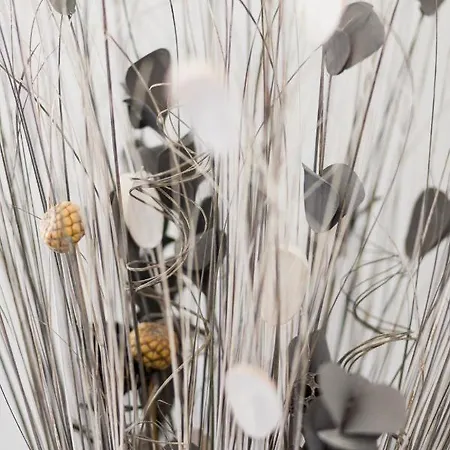 Du Macchione By Location-tourisme-corse Vila *