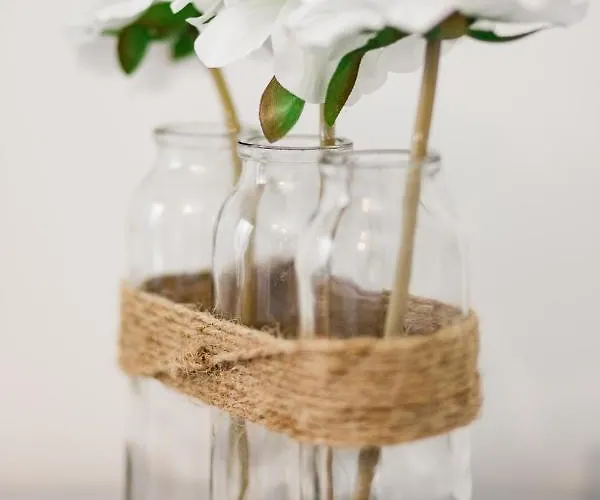 Du Macchione By Location-tourisme-corse Bastia (Corsica)