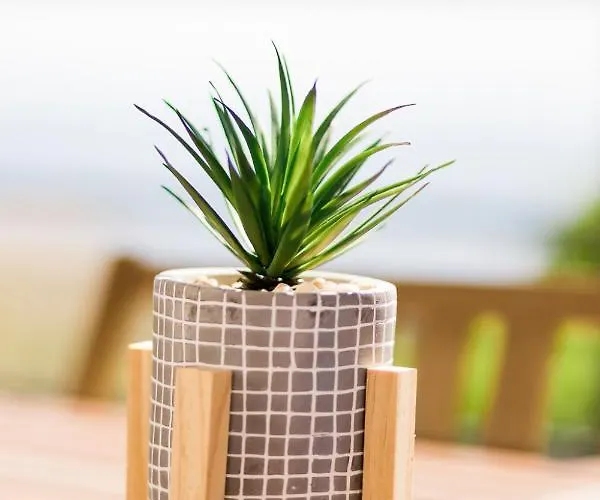 Vila Du Macchione By Location-tourisme-corse Bastia (Corsica)