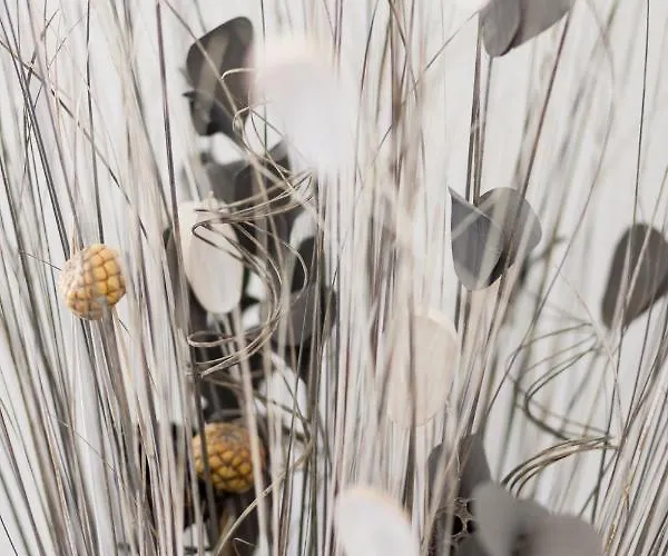 Du Macchione By Location-tourisme-corse Villa *